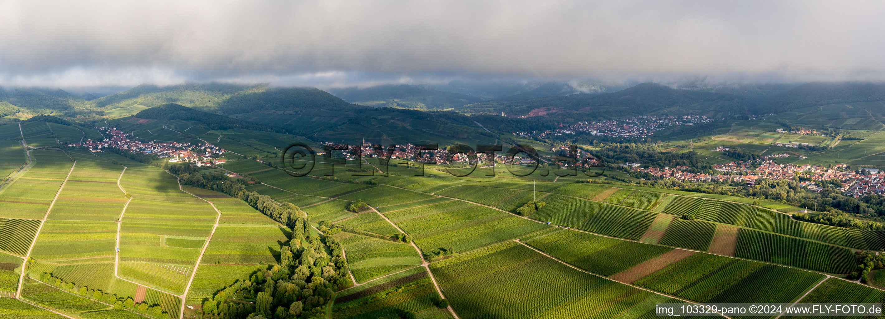 Bird's eye view of Ilbesheim bei Landau in der Pfalz in the state Rhineland-Palatinate, Germany