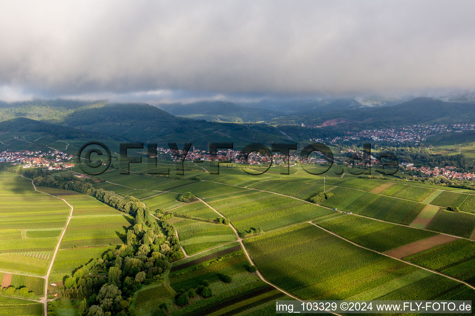 Birkweiler in the state Rhineland-Palatinate, Germany seen from above