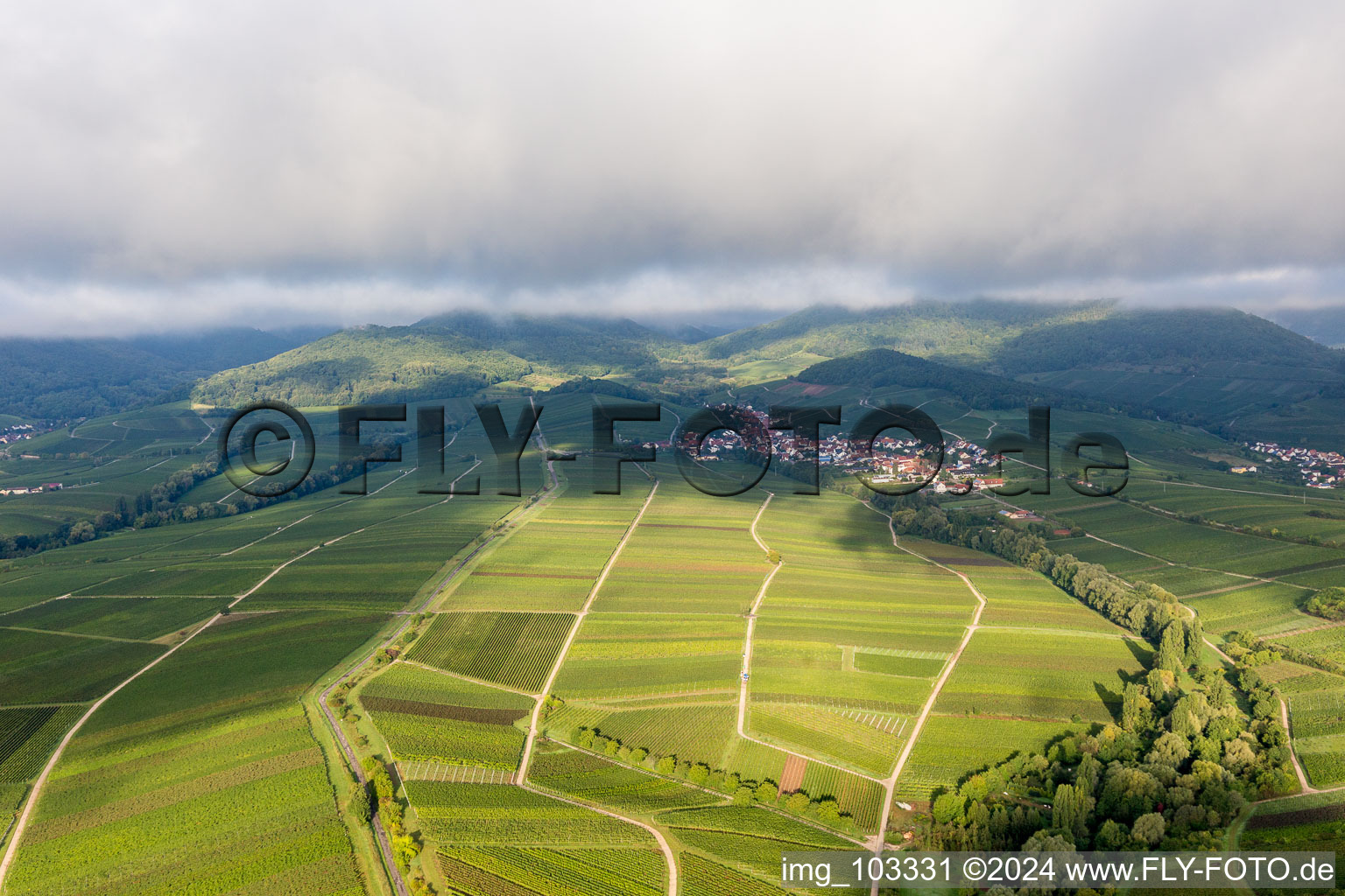 Bird's eye view of Ranschbach in the state Rhineland-Palatinate, Germany