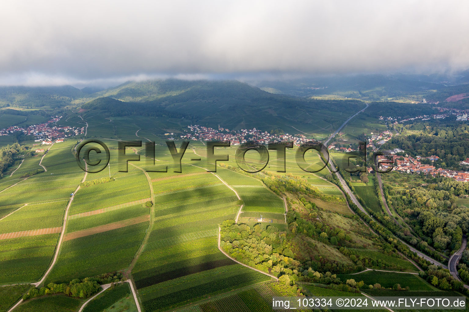 Bird's eye view of Birkweiler in the state Rhineland-Palatinate, Germany