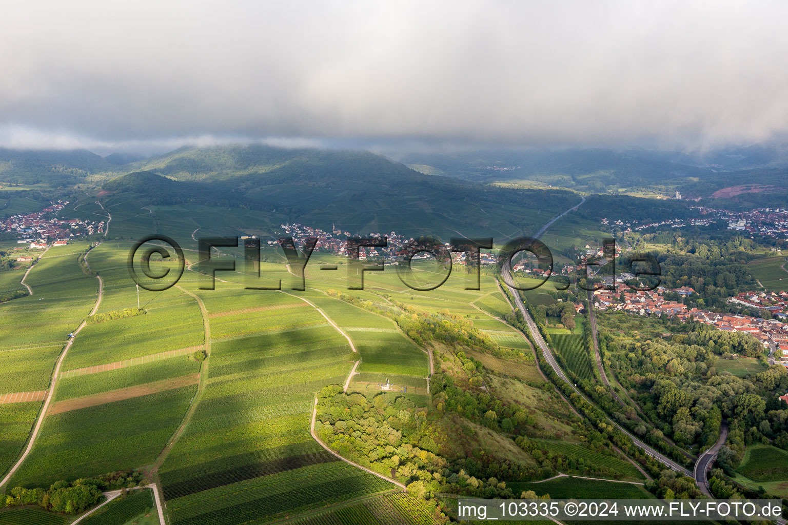 Birkweiler in the state Rhineland-Palatinate, Germany viewn from the air