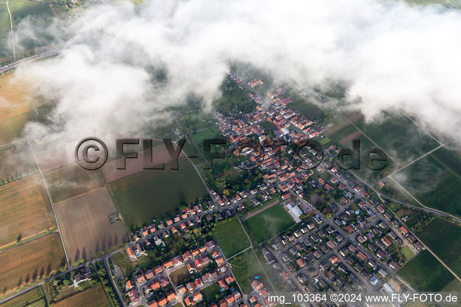 Oblique view of District Dammheim in Landau in der Pfalz in the state Rhineland-Palatinate, Germany