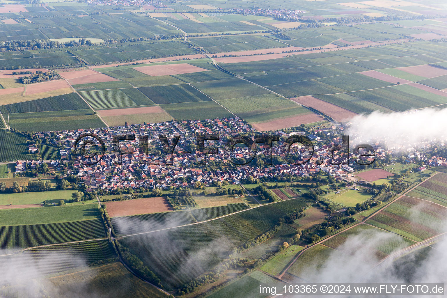 Drone recording of Essingen in the state Rhineland-Palatinate, Germany