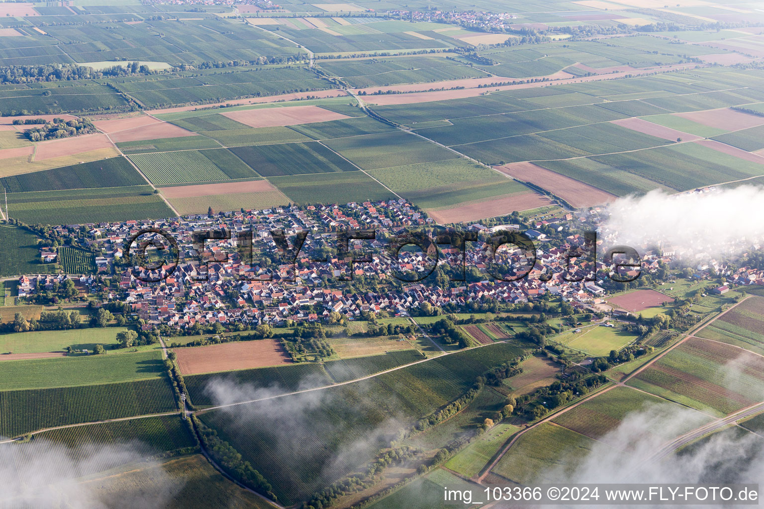 Drone image of Essingen in the state Rhineland-Palatinate, Germany