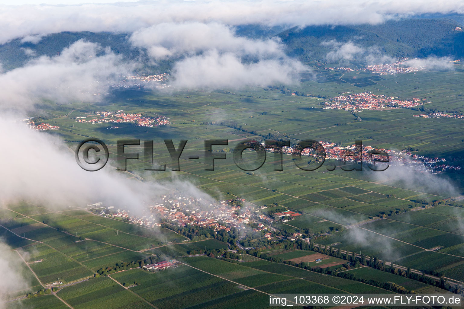 Drone image of Walsheim in the state Rhineland-Palatinate, Germany