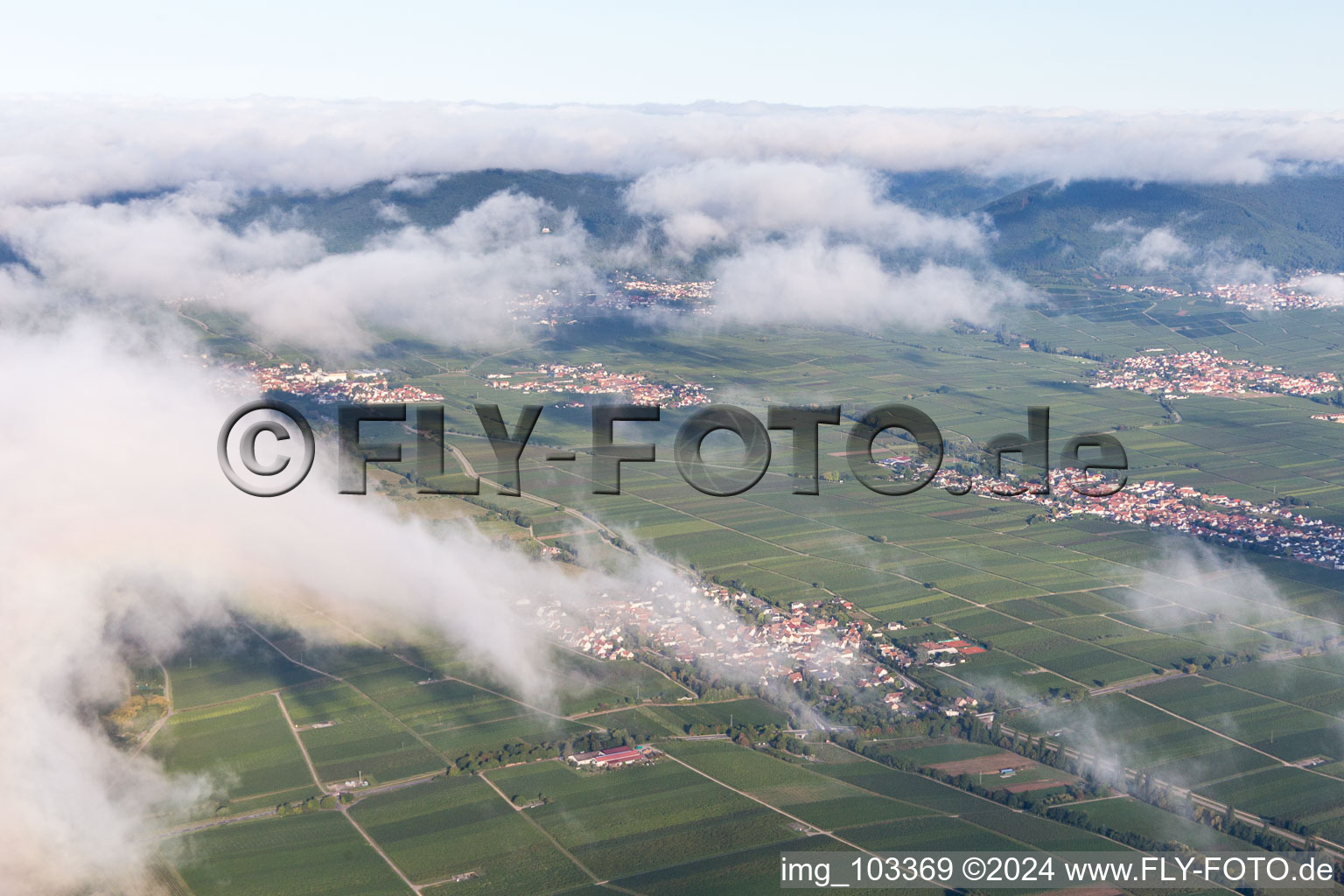 Walsheim in the state Rhineland-Palatinate, Germany from the drone perspective