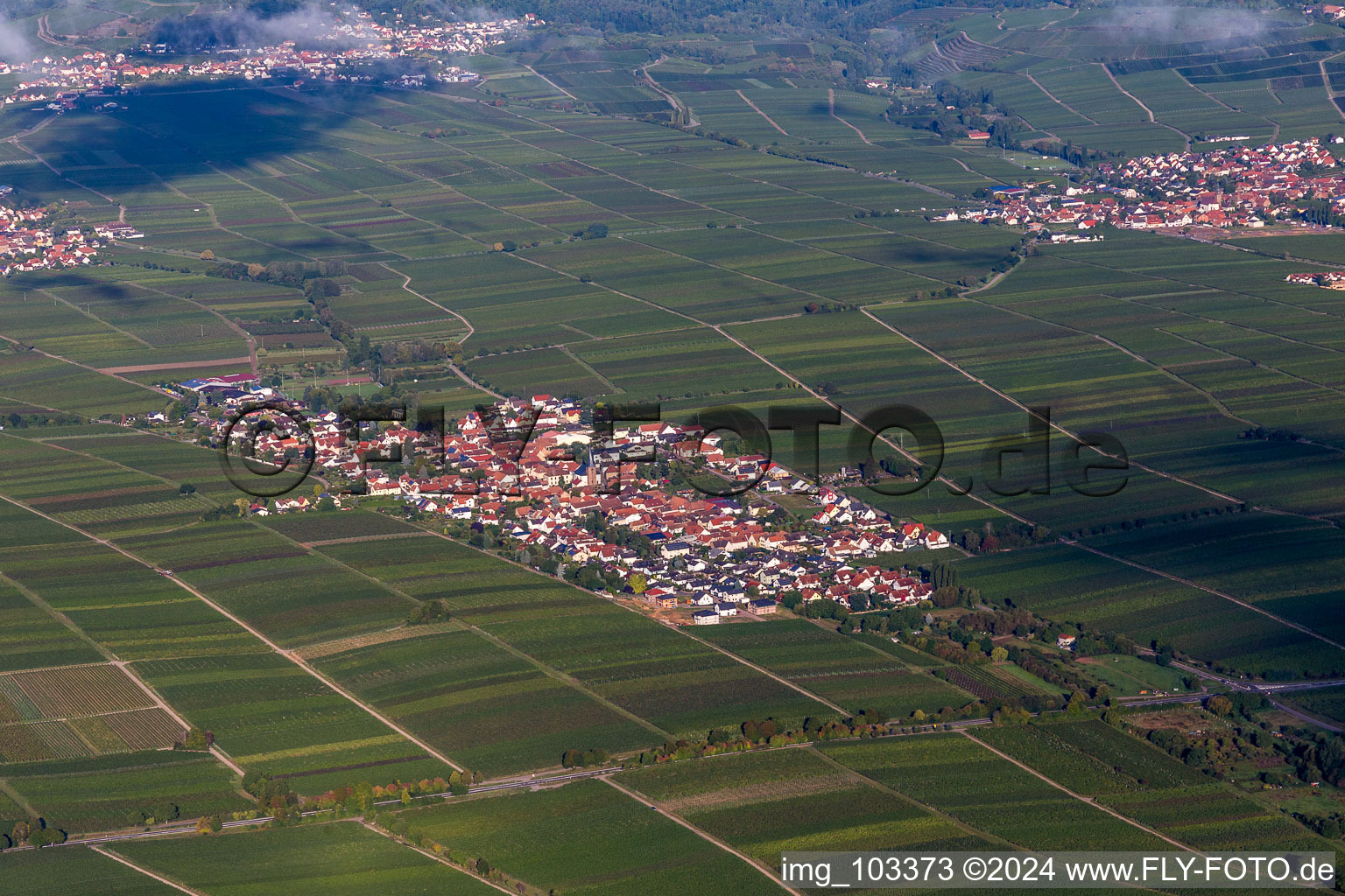 Oblique view of Roschbach in the state Rhineland-Palatinate, Germany