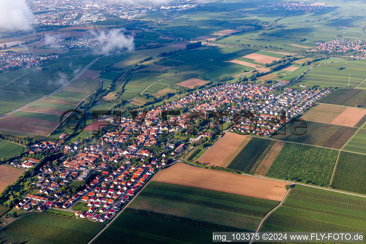 Essingen in the state Rhineland-Palatinate, Germany from the drone perspective