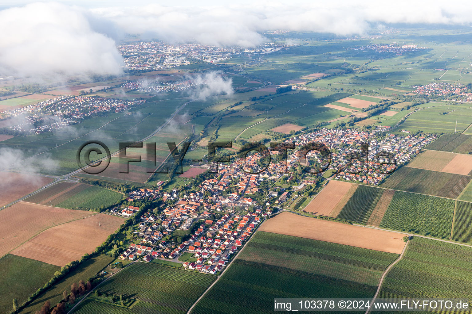 Essingen in the state Rhineland-Palatinate, Germany from a drone