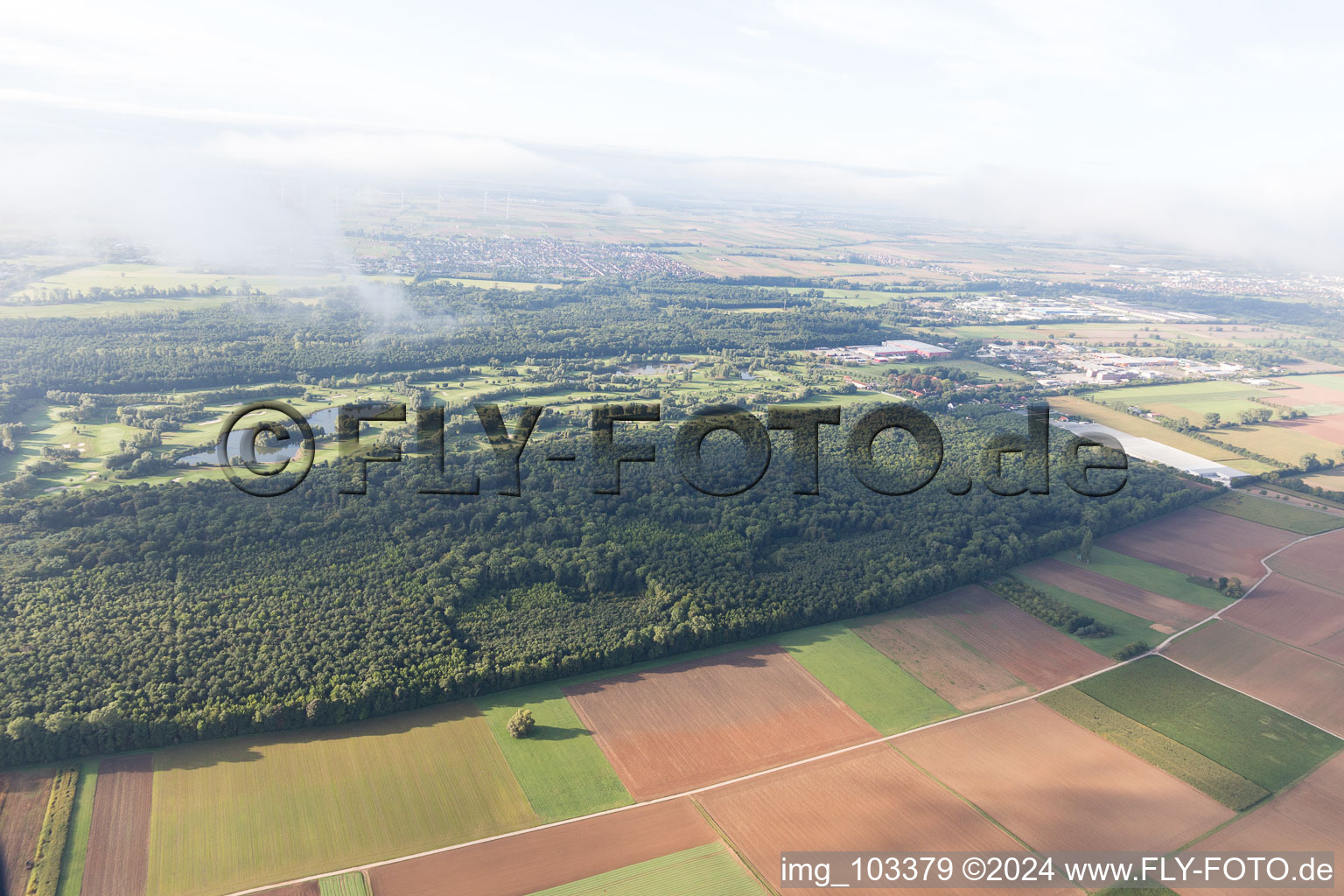 Aerial view of Golf course in Essingen in the state Rhineland-Palatinate, Germany