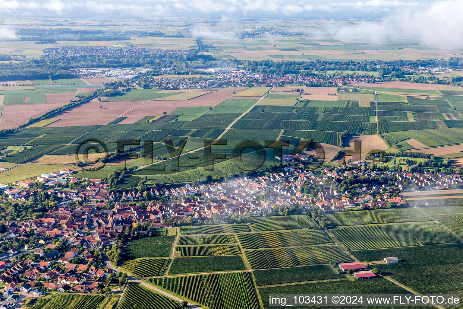 Insheim in the state Rhineland-Palatinate, Germany from the plane