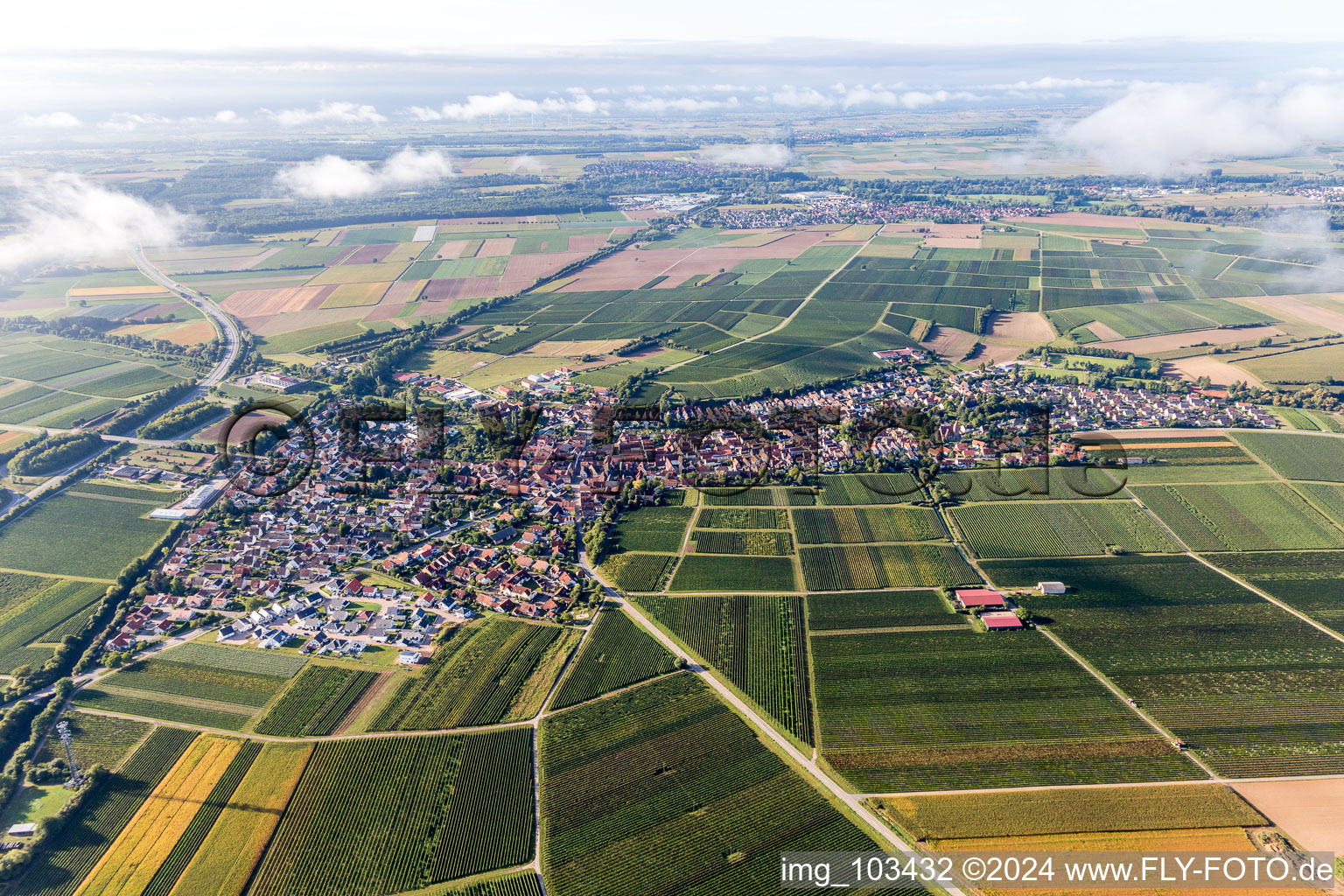 Bird's eye view of Insheim in the state Rhineland-Palatinate, Germany