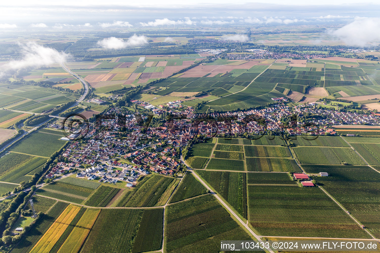 Insheim in the state Rhineland-Palatinate, Germany viewn from the air