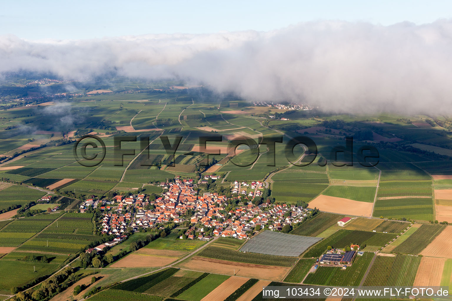 Aerial photograpy of Impflingen in the state Rhineland-Palatinate, Germany