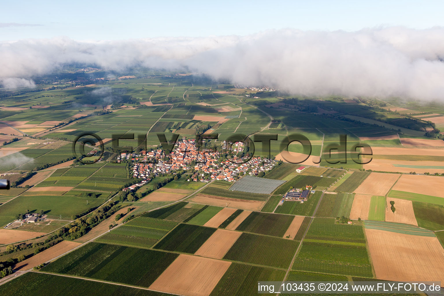 Oblique view of Impflingen in the state Rhineland-Palatinate, Germany