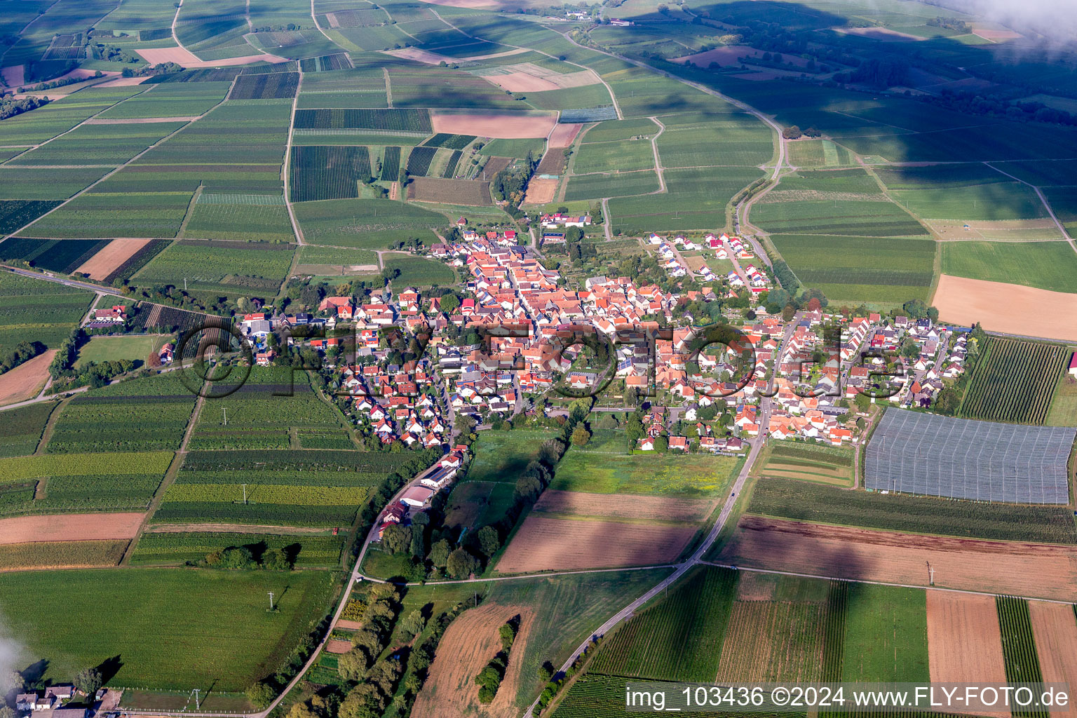 Impflingen in the state Rhineland-Palatinate, Germany from above