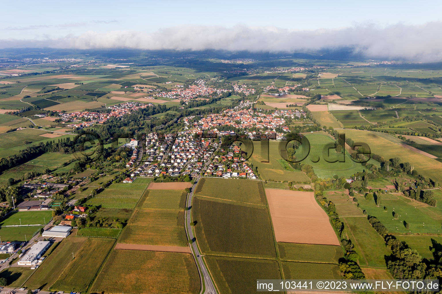 District Billigheim in Billigheim-Ingenheim in the state Rhineland-Palatinate, Germany out of the air