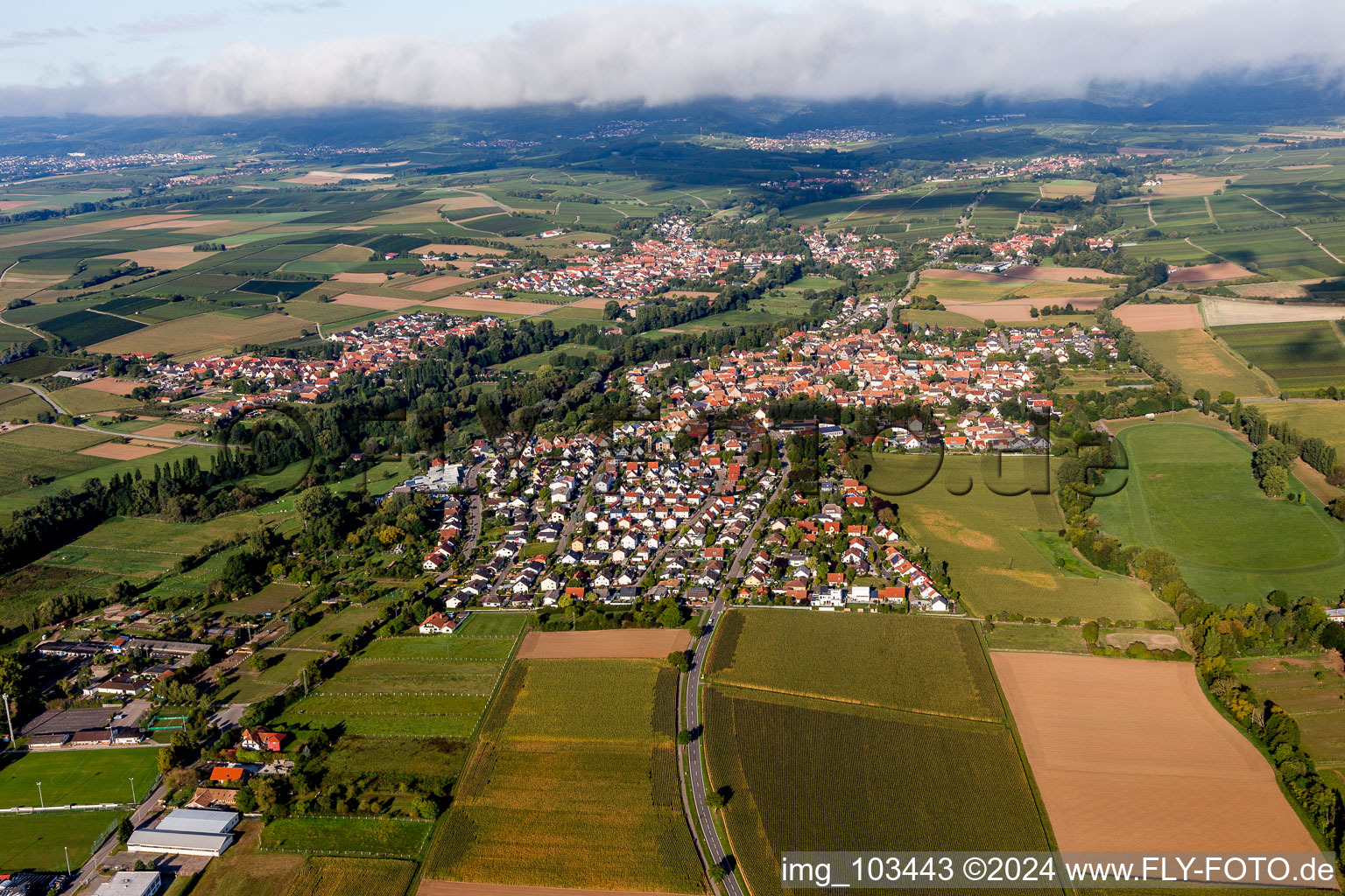 District Billigheim in Billigheim-Ingenheim in the state Rhineland-Palatinate, Germany seen from above