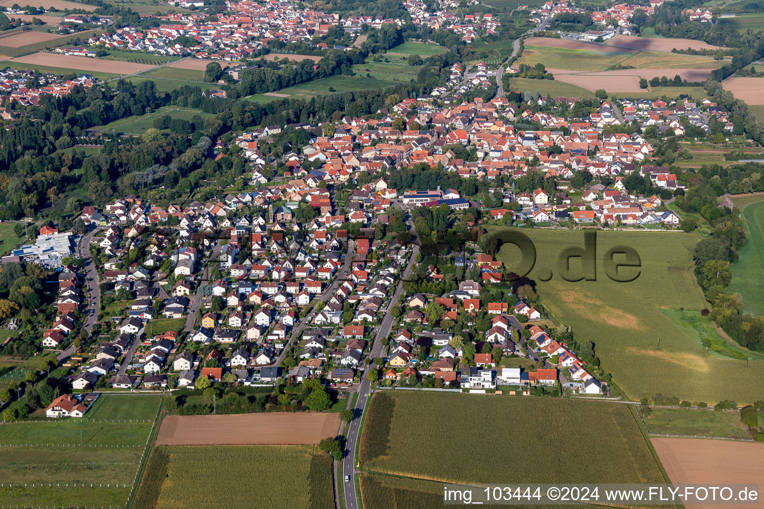 District Billigheim in Billigheim-Ingenheim in the state Rhineland-Palatinate, Germany from the plane