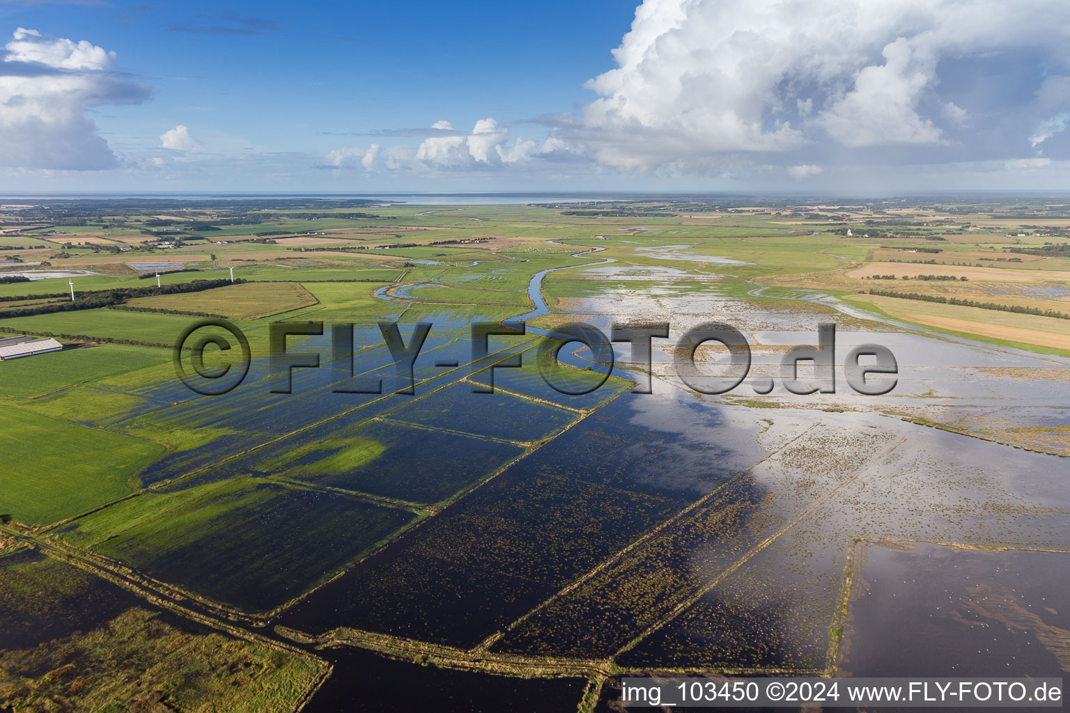 Shore areas with flooded by flood level riverbed of Varde in Roemoe in , Denmark