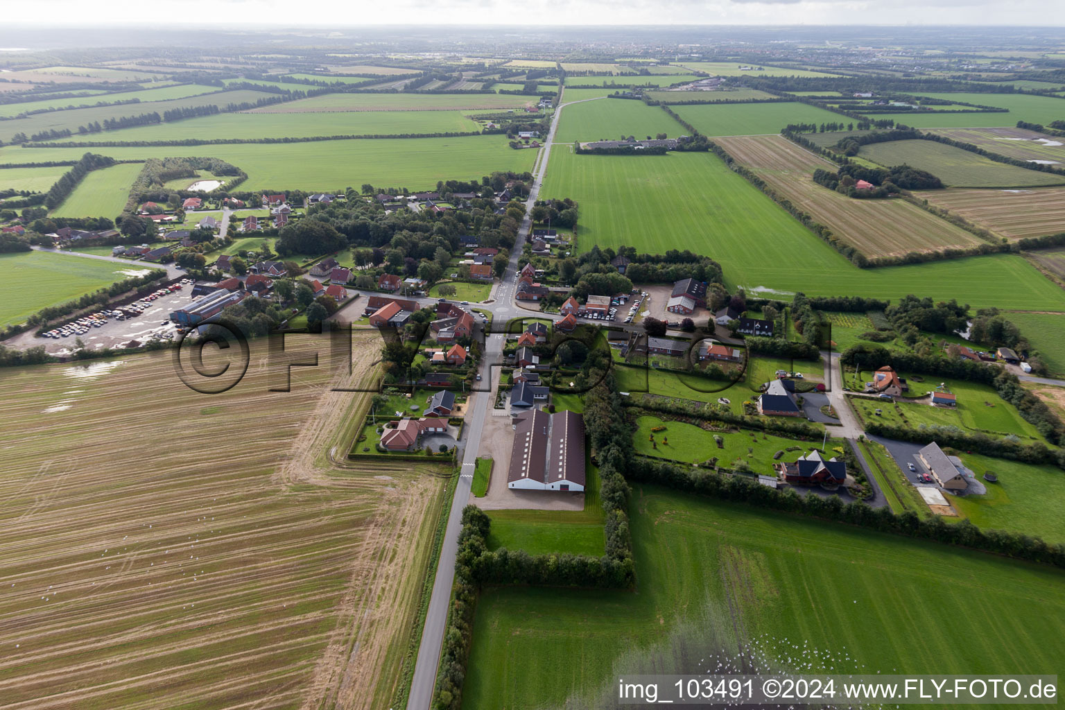 Luxury villas in residential area of single-family settlement in Varde in Juetland, Denmark