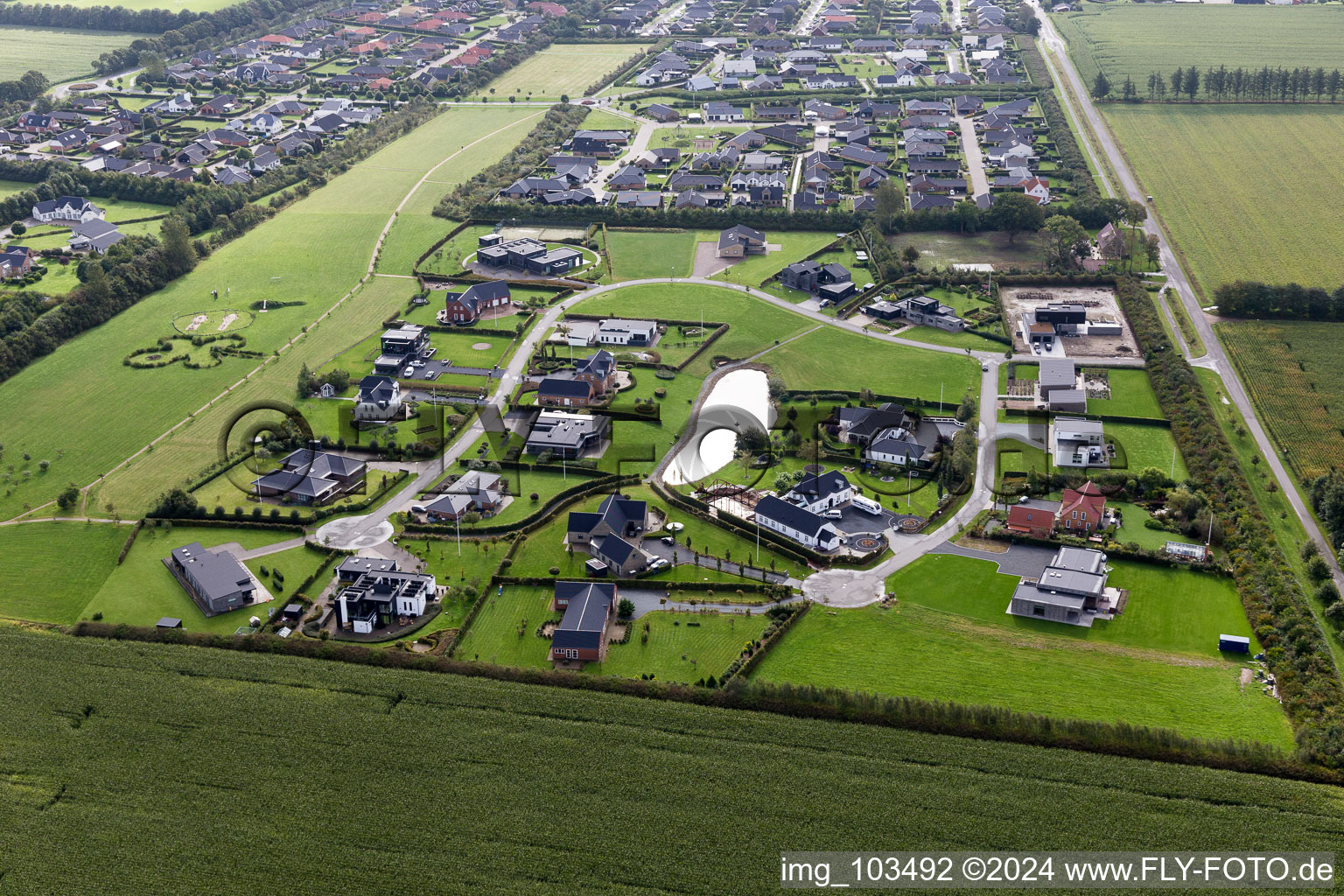 Luxury villas in residential area of single-family settlement in Varde in Juetland, Denmark