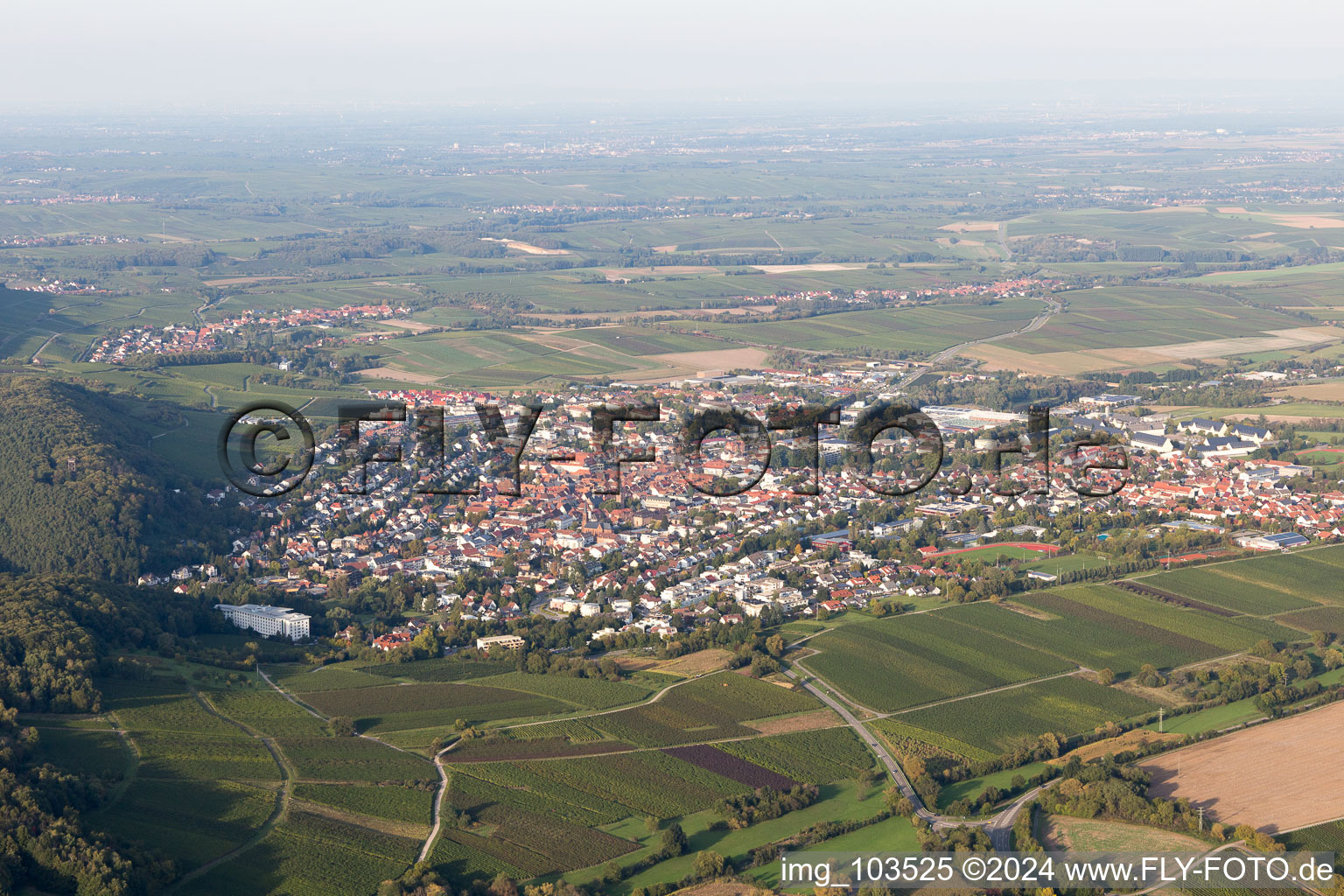 Oblique view of Bad Bergzabern in the state Rhineland-Palatinate, Germany