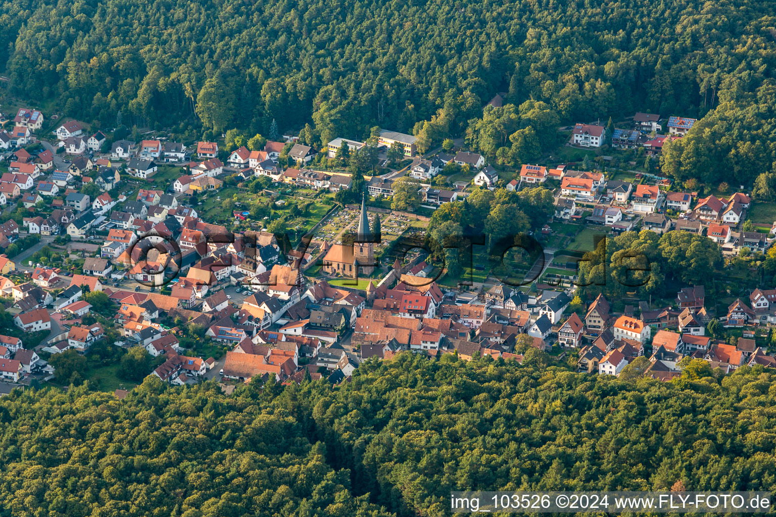 Dörrenbach in the state Rhineland-Palatinate, Germany seen from a drone