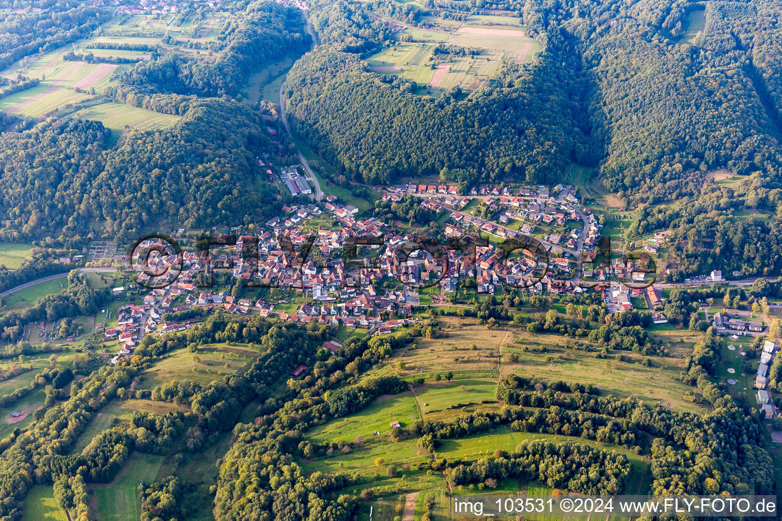 Aerial view of From the south in Silz in the state Rhineland-Palatinate, Germany