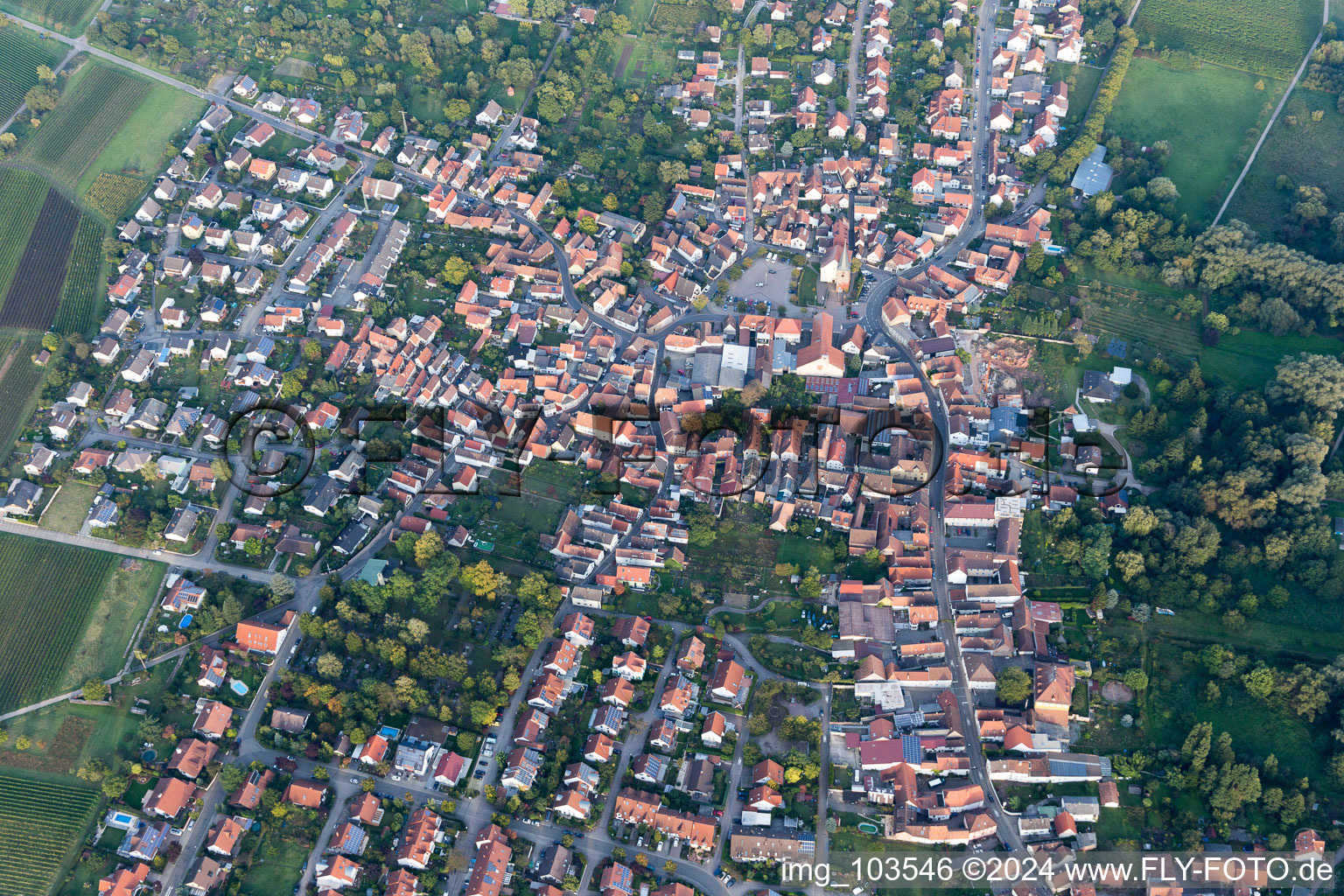 Drone image of District Godramstein in Landau in der Pfalz in the state Rhineland-Palatinate, Germany