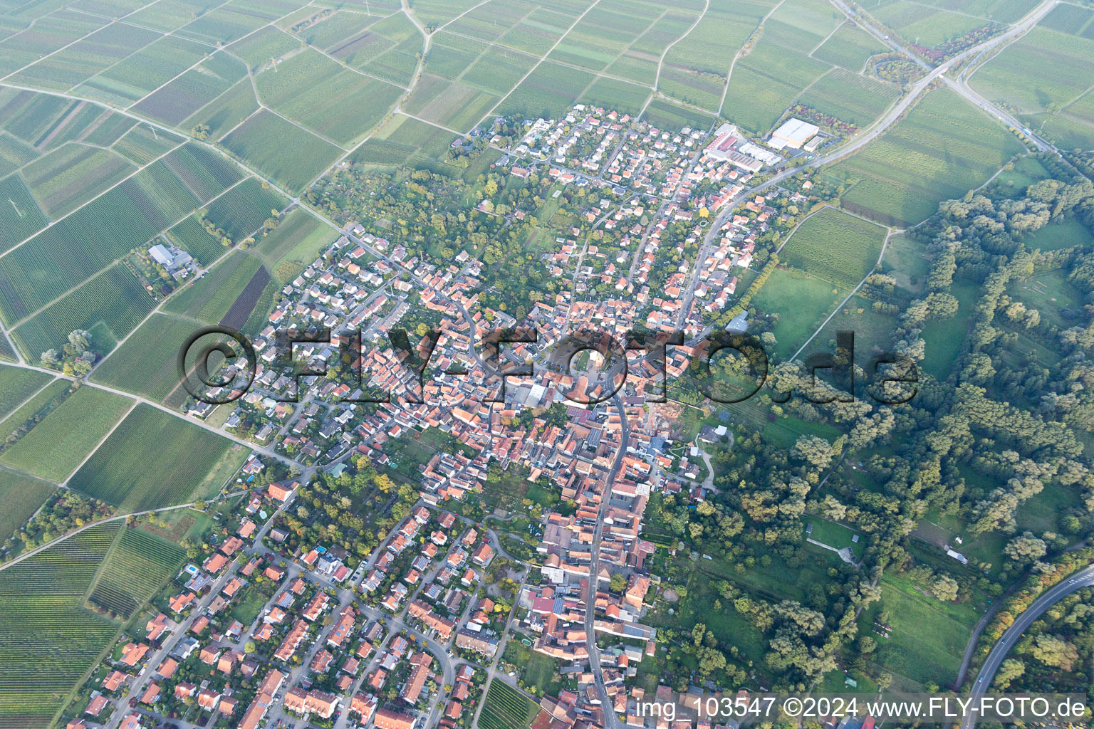 District Godramstein in Landau in der Pfalz in the state Rhineland-Palatinate, Germany from the drone perspective