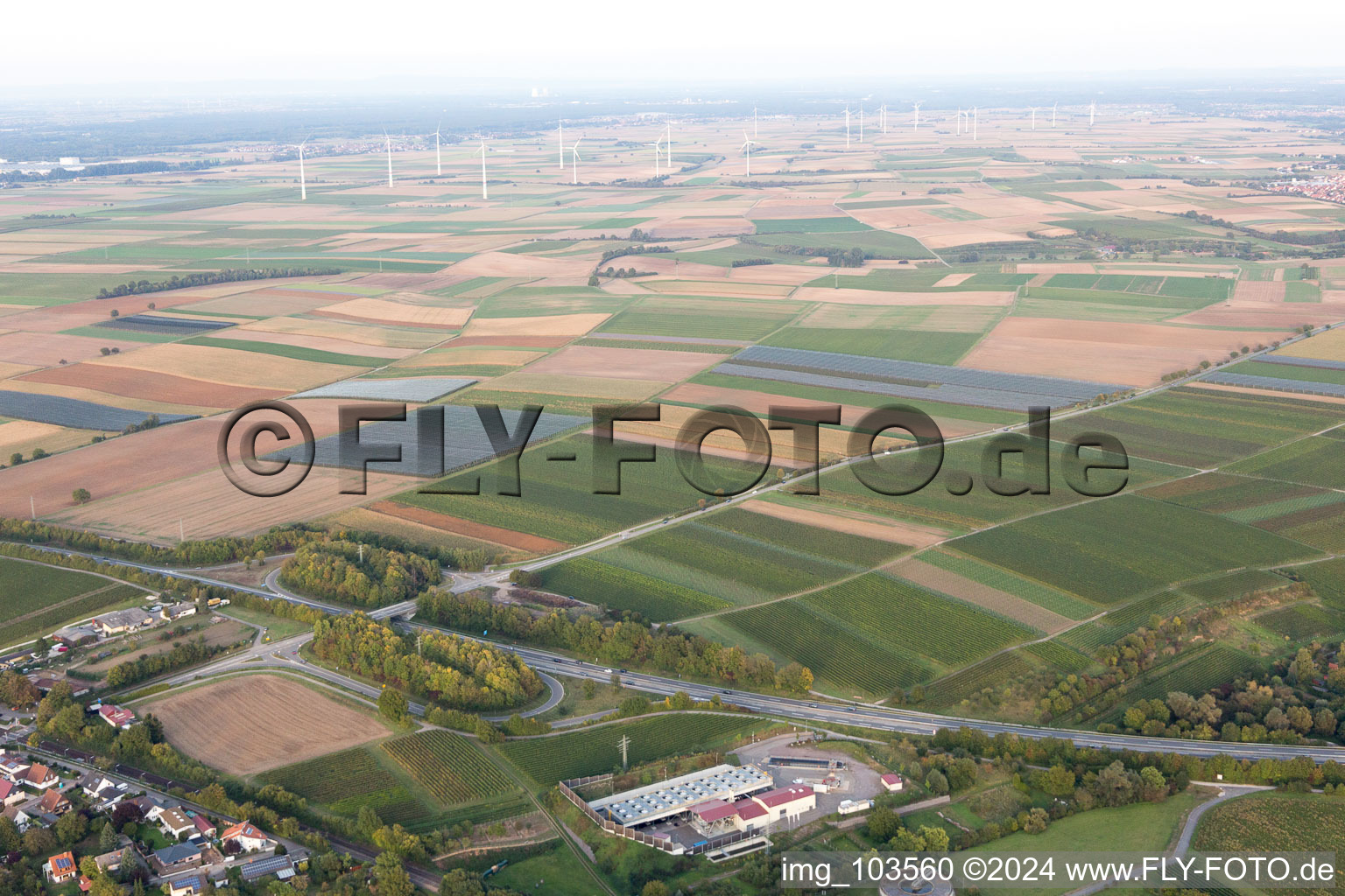 Drone image of Insheim in the state Rhineland-Palatinate, Germany