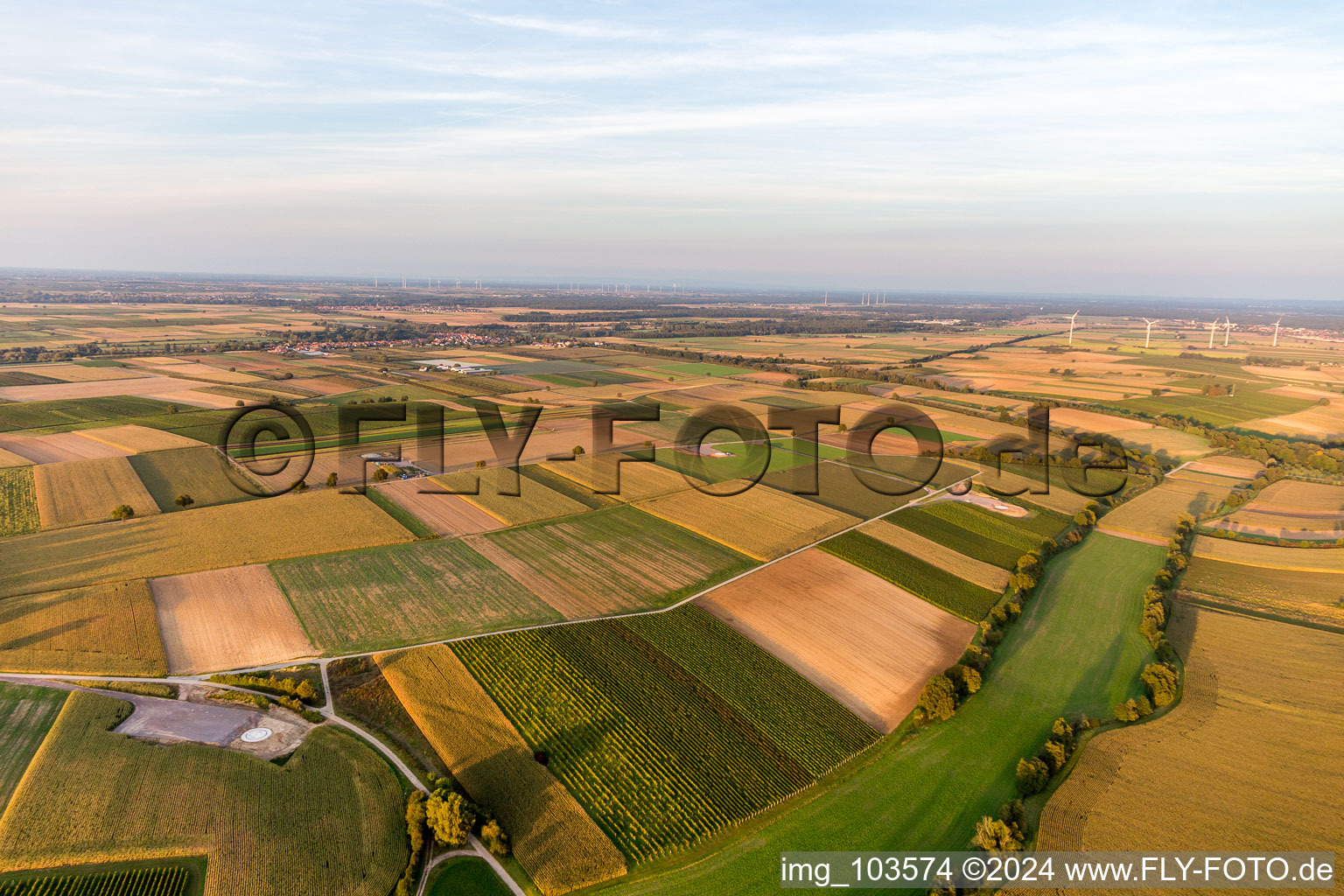 Construction site of the EnBW wind farm Freckenfeld - for a wind turbine with 6 wind turbines in Freckenfeld in the state Rhineland-Palatinate, Germany from the plane