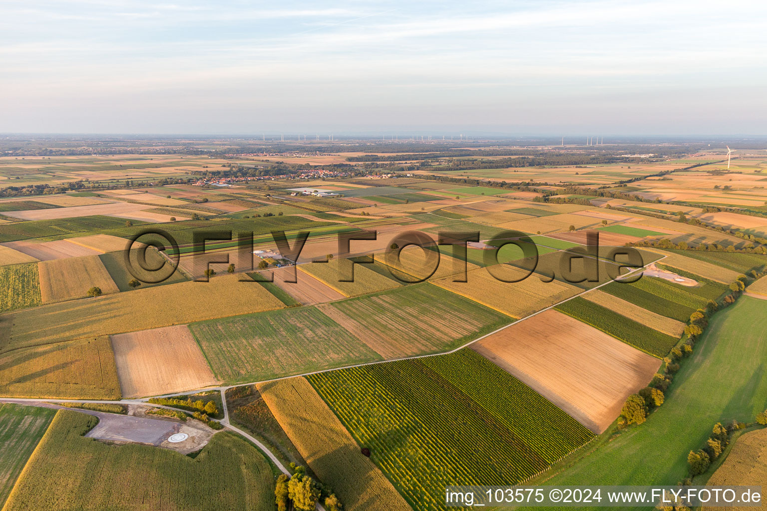 Bird's eye view of Construction site of the EnBW wind farm Freckenfeld - for a wind turbine with 6 wind turbines in Freckenfeld in the state Rhineland-Palatinate, Germany