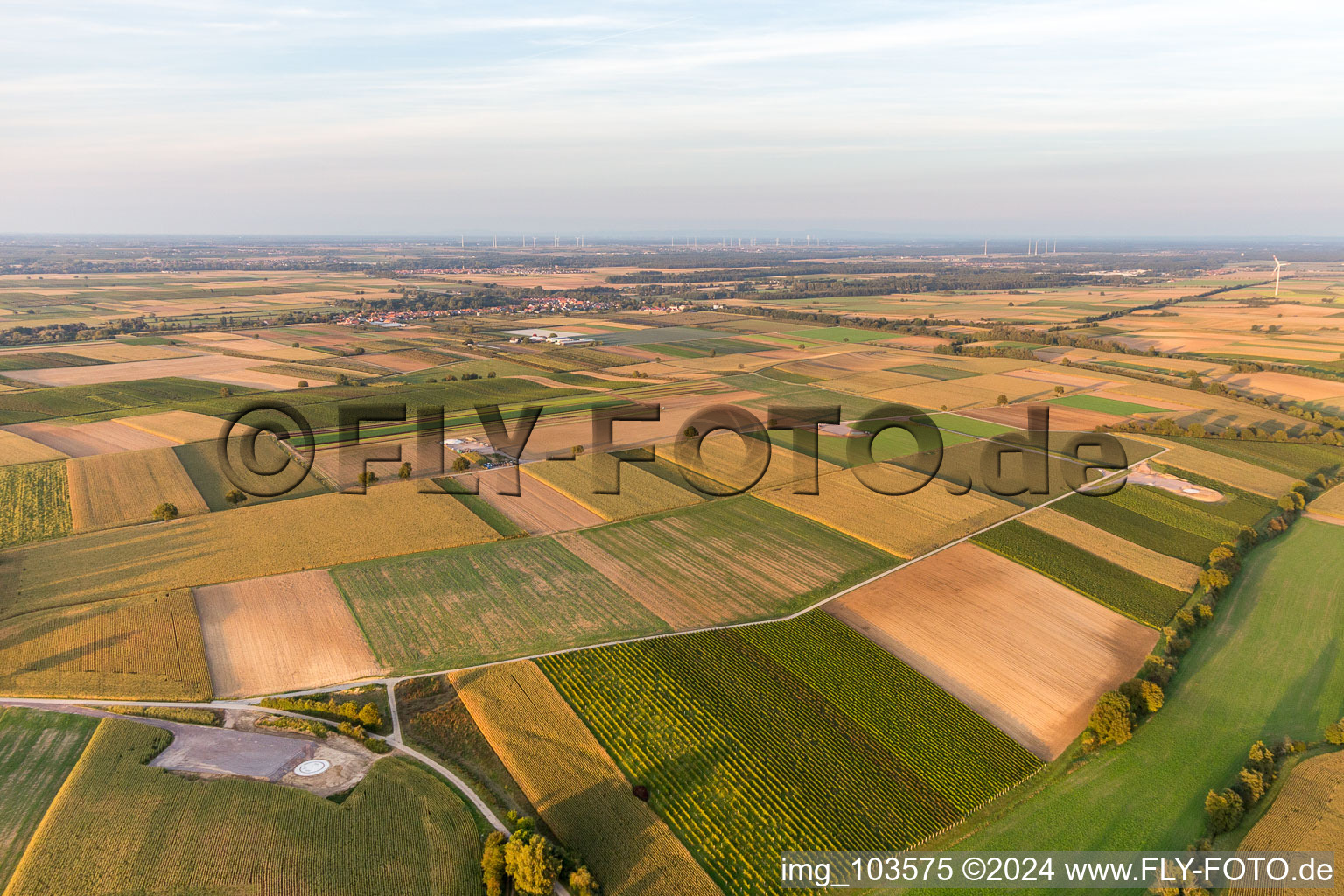 Bird's eye view of Construction site of the EnBW wind farm Freckenfeld - for wind energy plant with 6 wind turbines in Freckenfeld in the state Rhineland-Palatinate, Germany