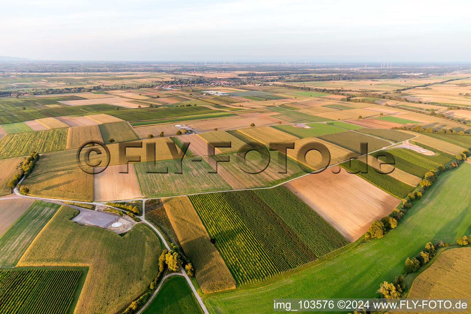 Construction site of the EnBW wind farm Freckenfeld - for a wind turbine with 6 wind turbines in Freckenfeld in the state Rhineland-Palatinate, Germany viewn from the air