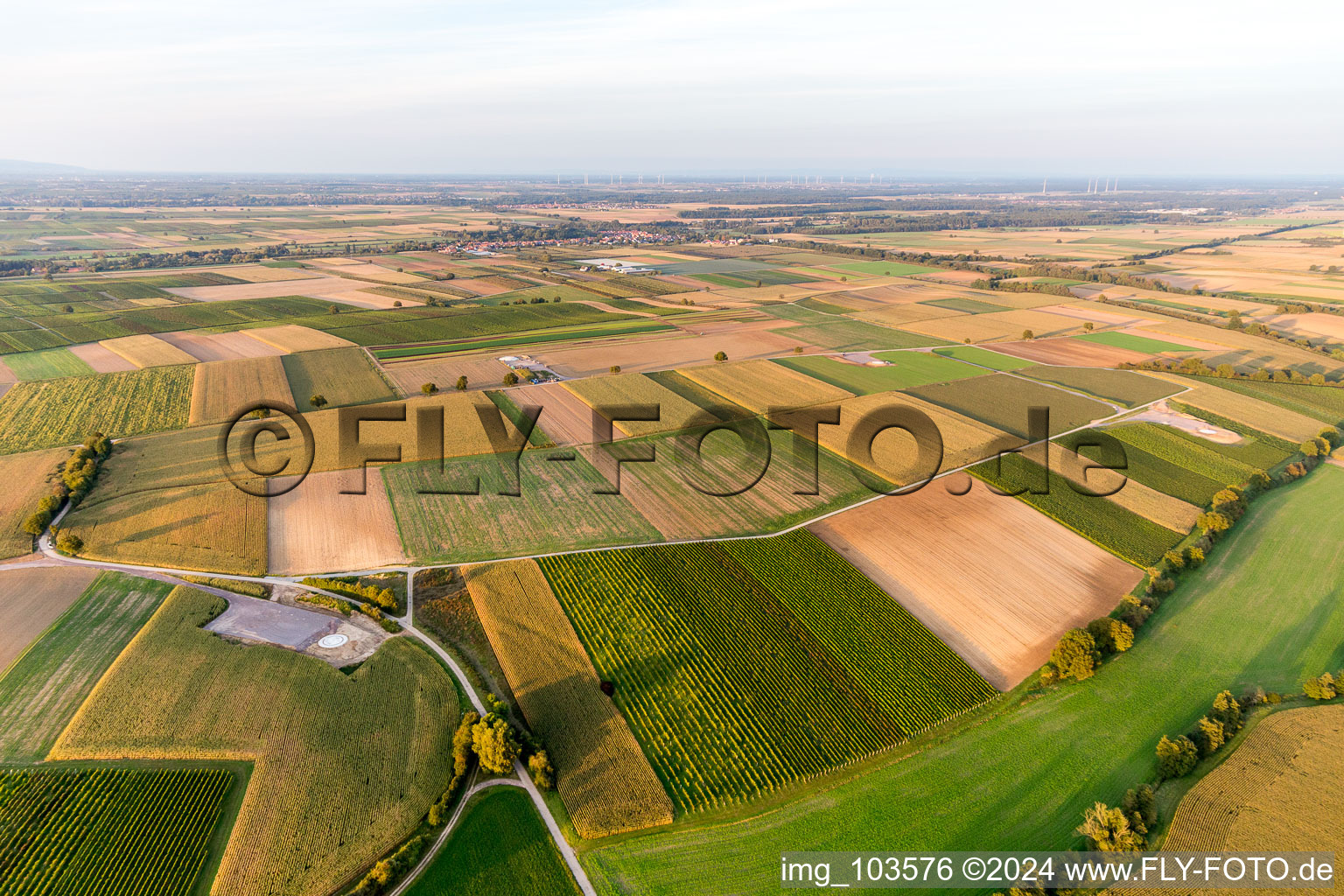 Construction site of the EnBW wind farm Freckenfeld - for wind energy plant with 6 wind turbines in Freckenfeld in the state Rhineland-Palatinate, Germany viewn from the air