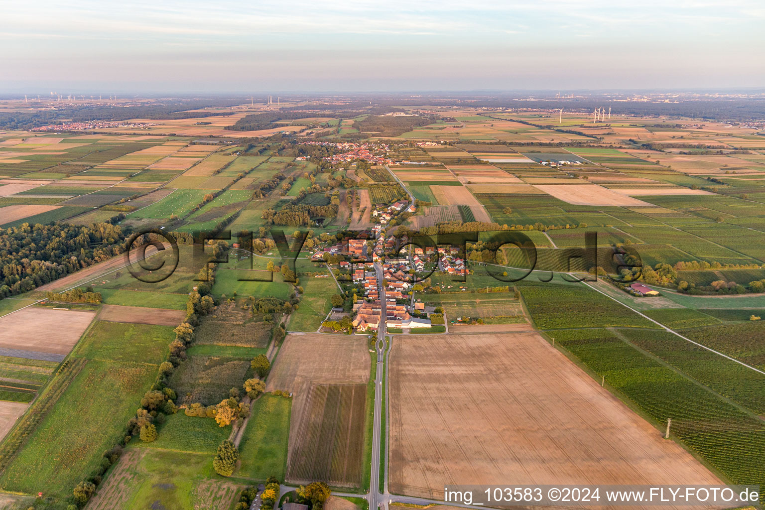 Aerial photograpy of Hergersweiler in the state Rhineland-Palatinate, Germany