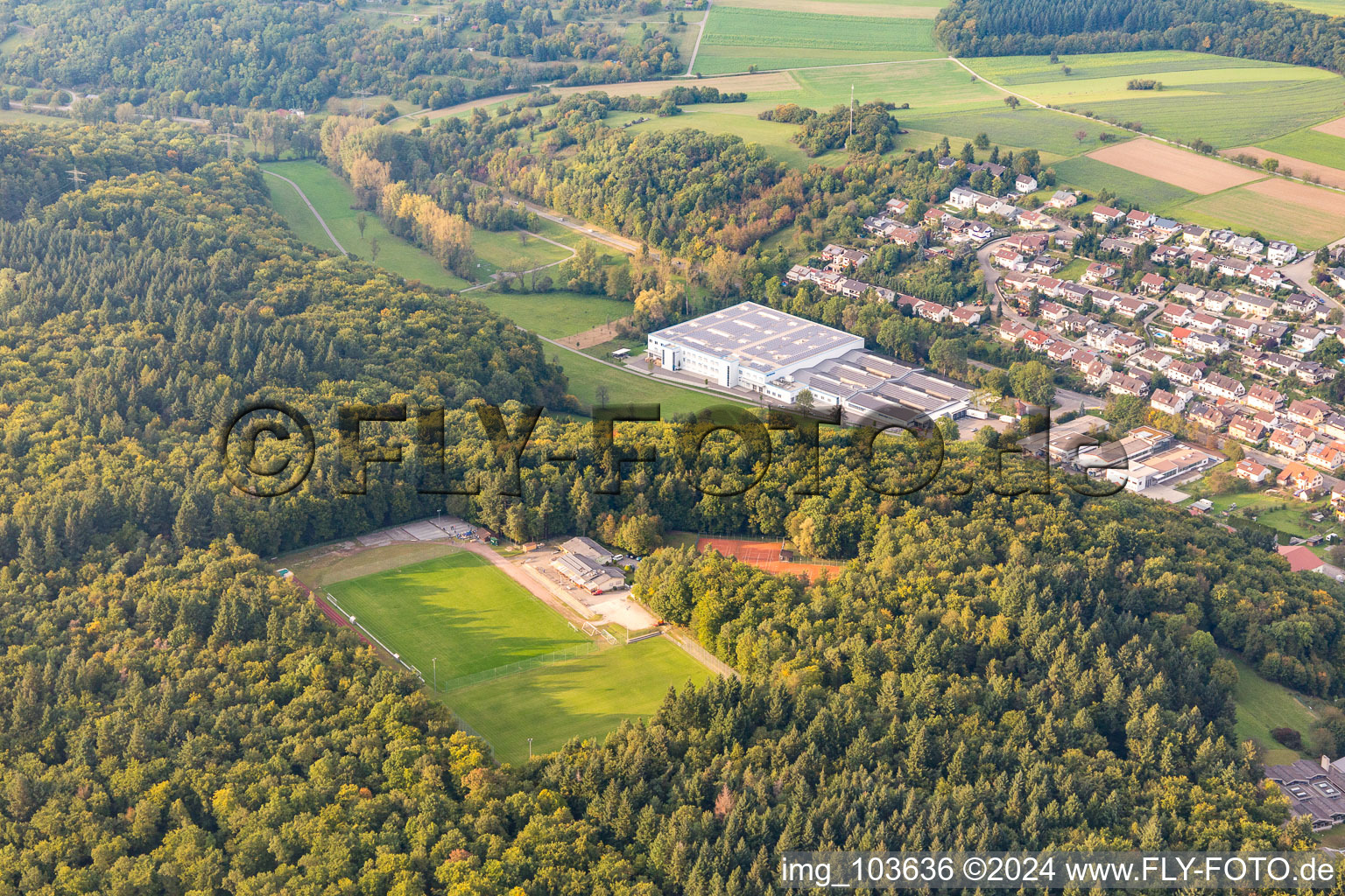 Eisingen in the state Baden-Wuerttemberg, Germany out of the air