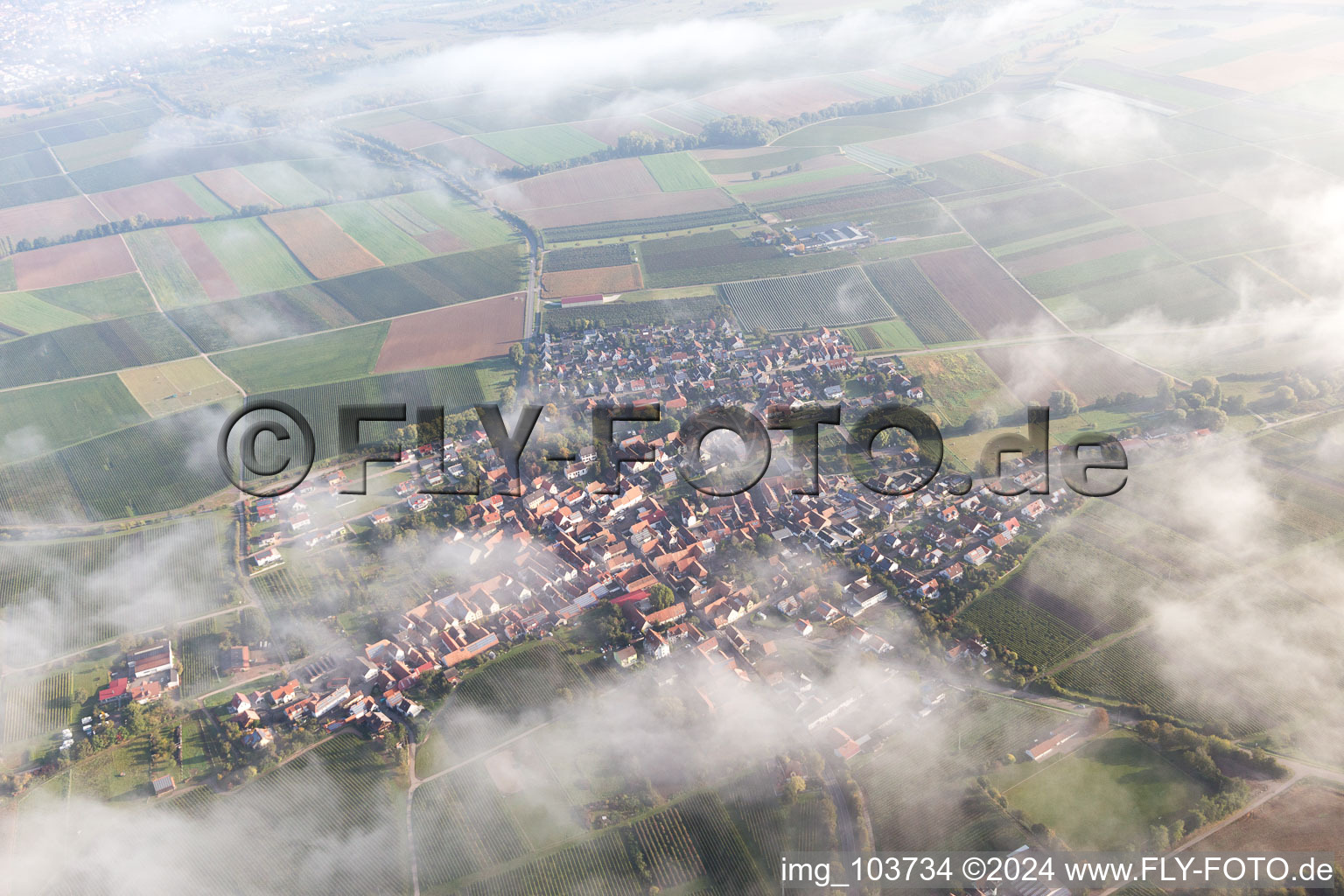 Impflingen in the state Rhineland-Palatinate, Germany seen from above