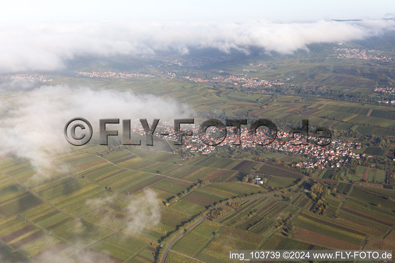 Aerial view of District Wollmesheim in Landau in der Pfalz in the state Rhineland-Palatinate, Germany