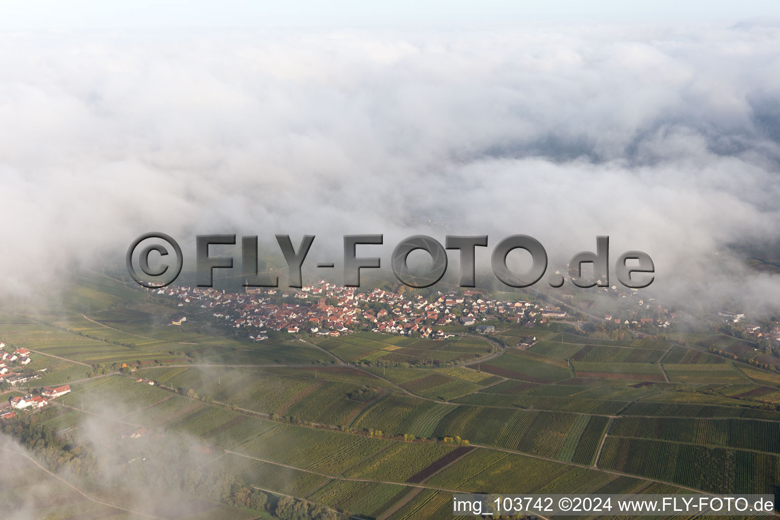 Drone image of Birkweiler in the state Rhineland-Palatinate, Germany