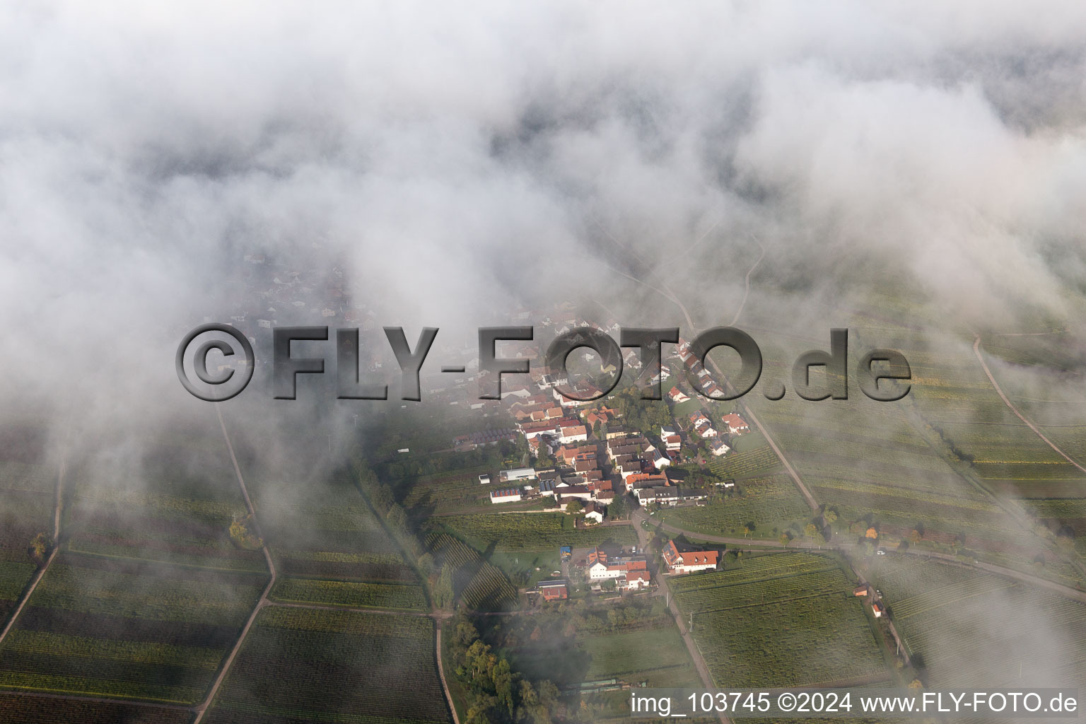 Birkweiler in the state Rhineland-Palatinate, Germany from the drone perspective