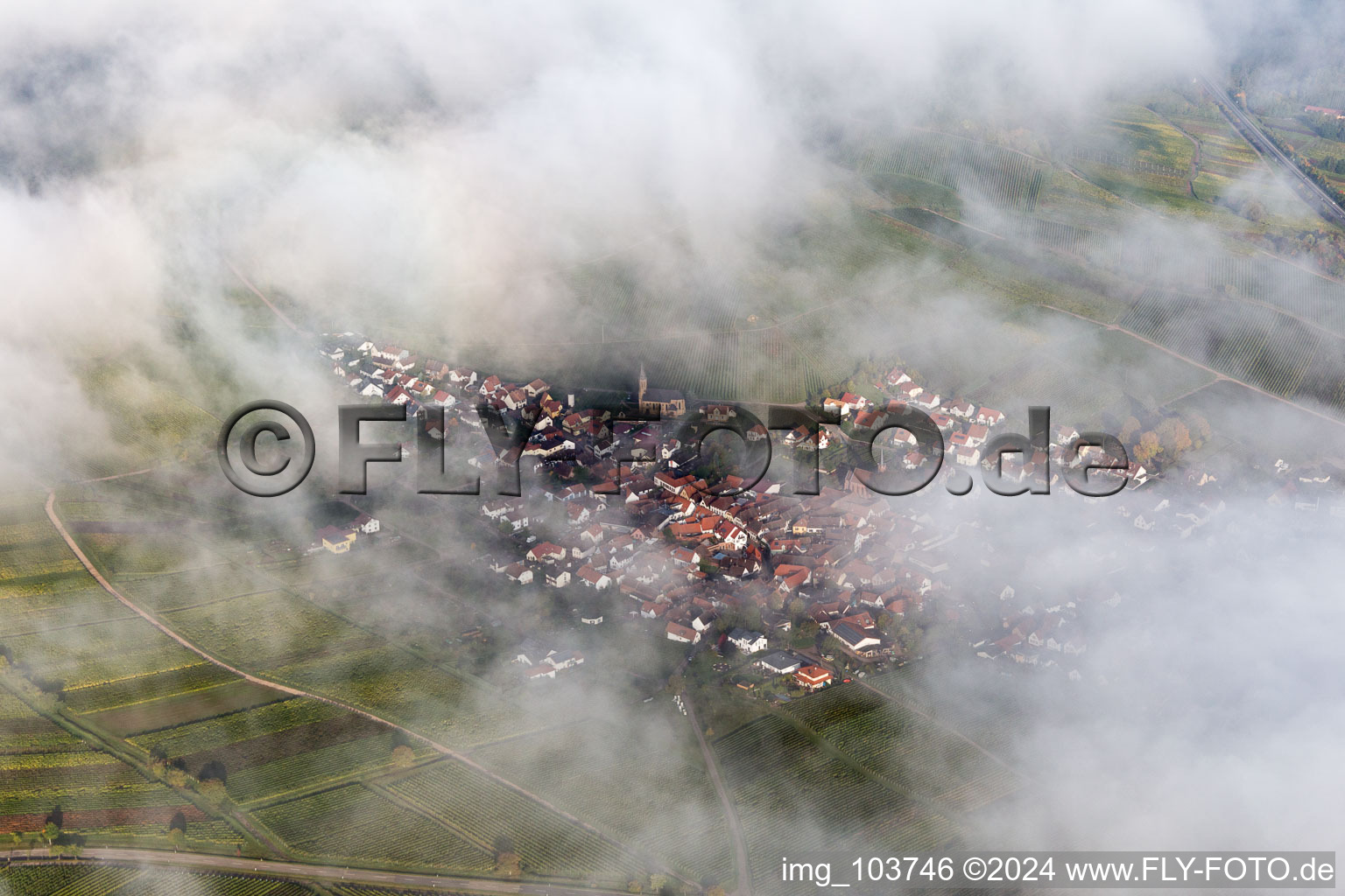 Birkweiler in the state Rhineland-Palatinate, Germany from a drone