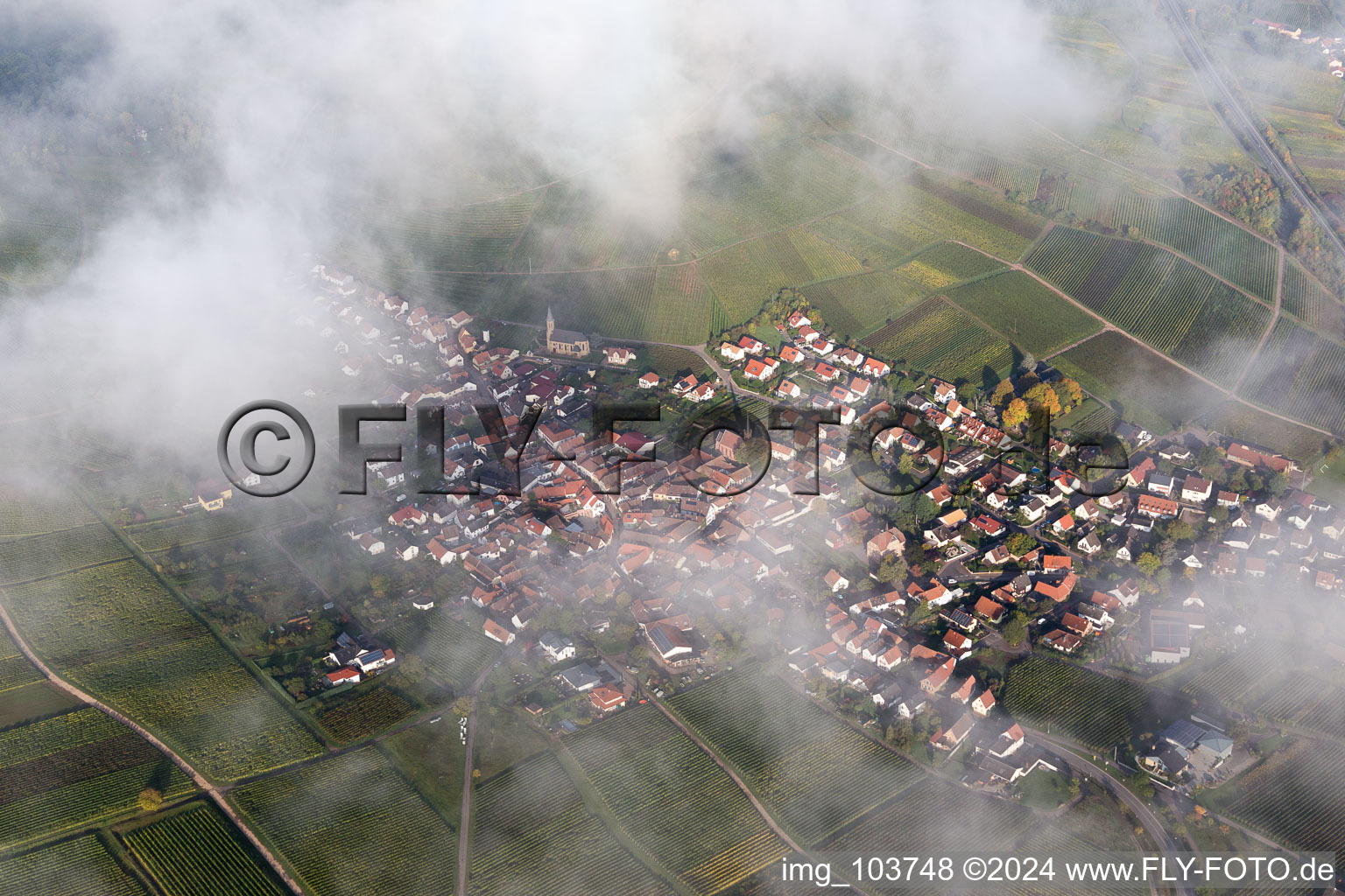 Birkweiler in the state Rhineland-Palatinate, Germany seen from a drone