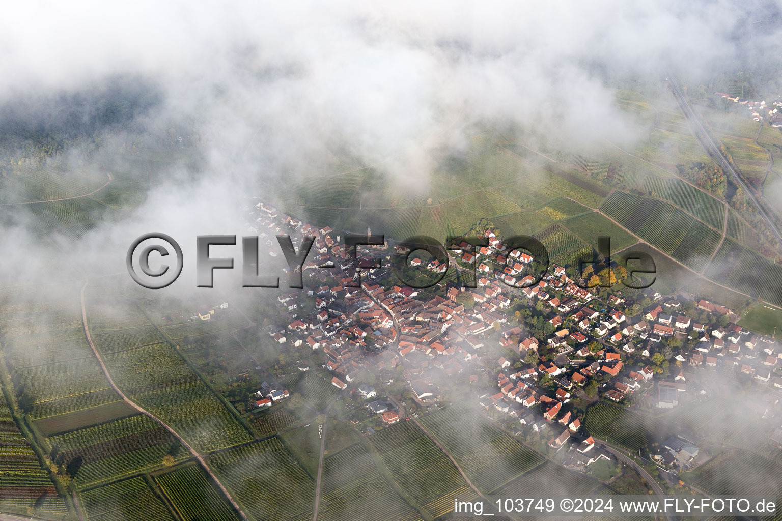 Aerial view of Birkweiler in the state Rhineland-Palatinate, Germany