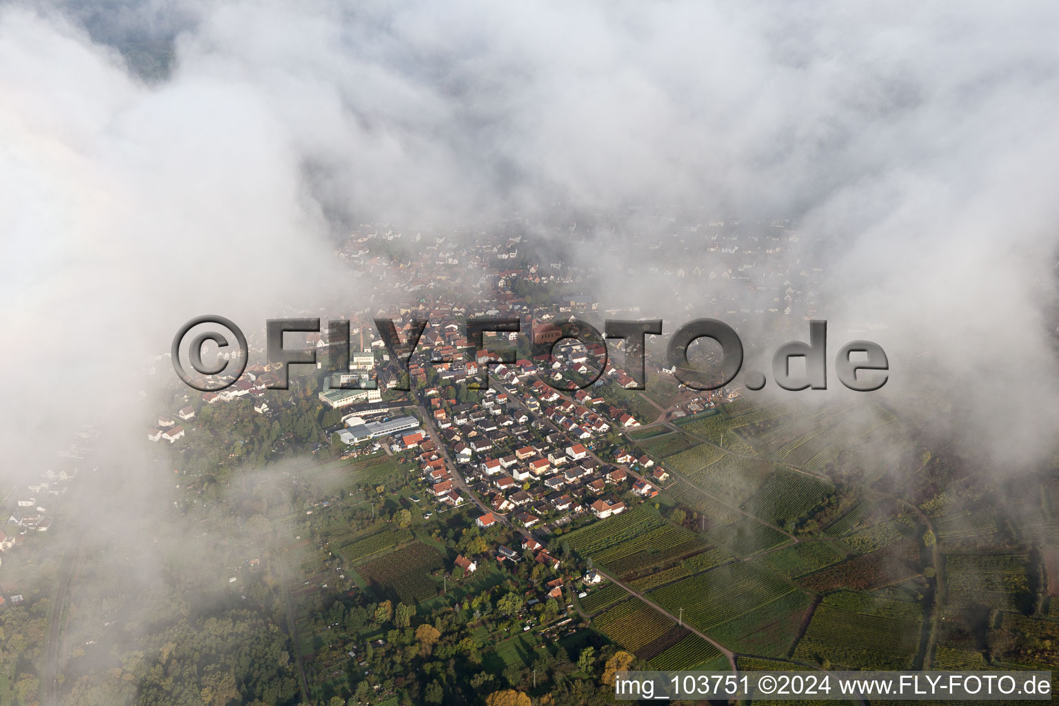 Oblique view of Siebeldingen in the state Rhineland-Palatinate, Germany