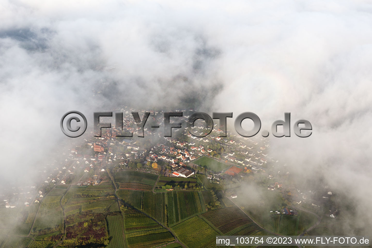 Siebeldingen in the state Rhineland-Palatinate, Germany from above