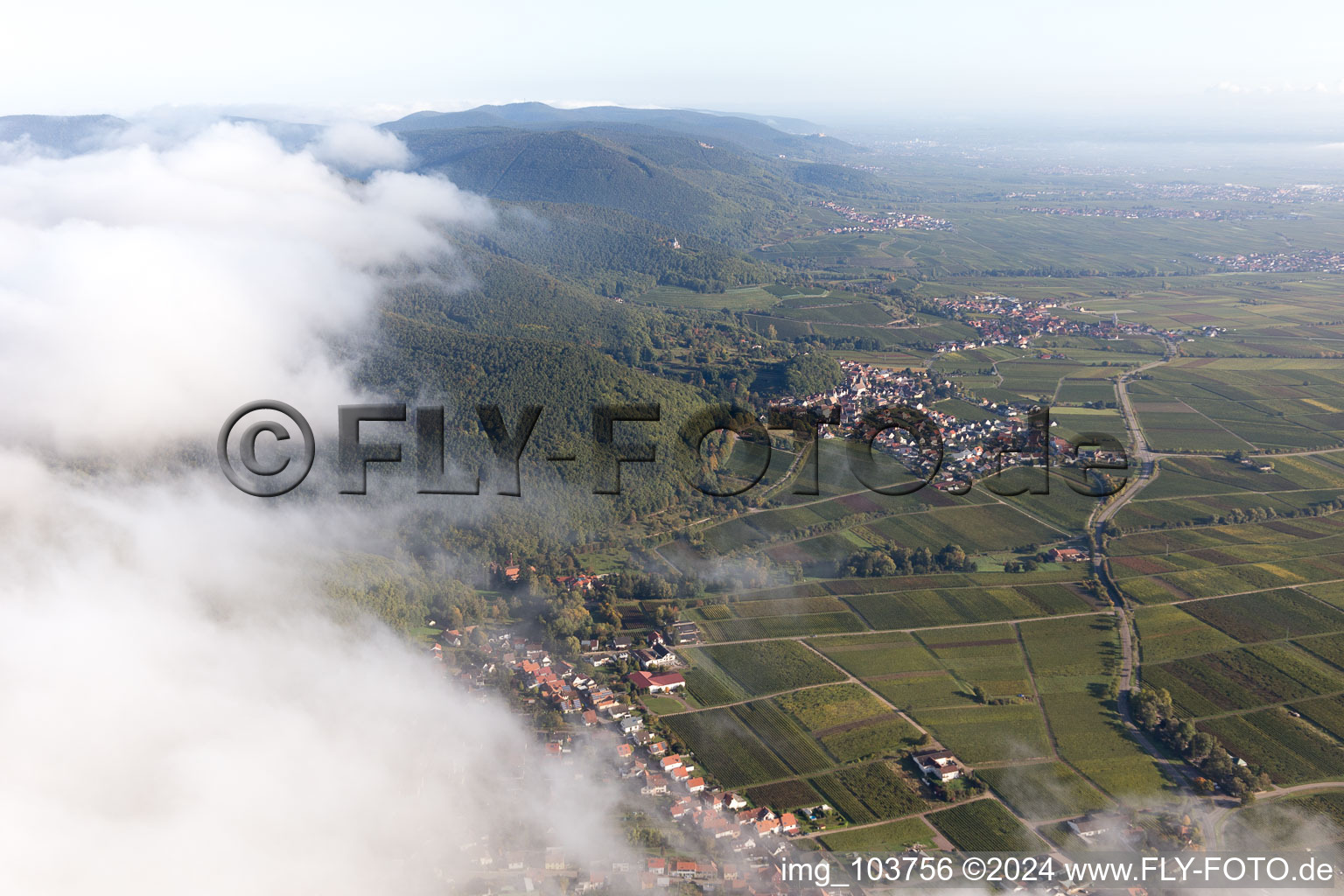 Drone image of Frankweiler in the state Rhineland-Palatinate, Germany