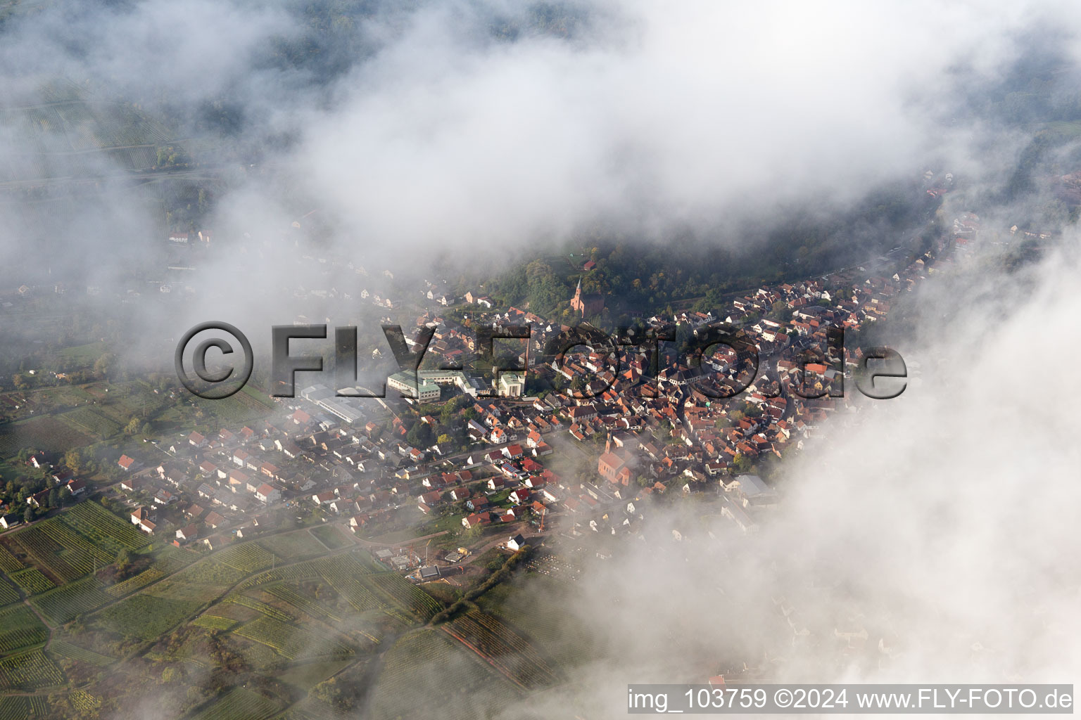 Albersweiler in the state Rhineland-Palatinate, Germany from a drone